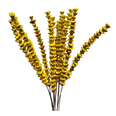 12 Stem Bakuli Flower Branches - Sunkist 